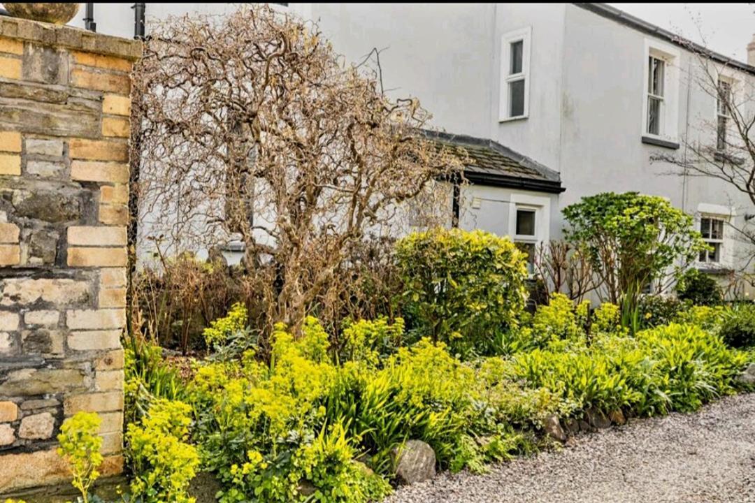 The Mews - Less Than 1Km To City Centre - Stadium - Castle - 10 Min Walk Cardiff Extérieur photo